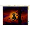 Calvendo Orsetto di notte 1000 pezzi puzzle paesaggio 640x480 mm, Haberhauer Petra; 7293527