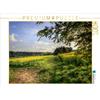 Calvendo Campo di colza a Calvendo, nei pressi di Mechernich. Puzzle da 1000 pezzi, formato orizzontale 640x480 mm, Klatt Arno; 7286951