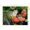 Calvendo Gatto in carrozza con zucche 1000 pezzi puzzle paesaggio 640x480mm, Menden Katho; 7396483