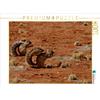 Calvendo Scoiattolo di terra 1000 pezzi puzzle paesaggio 640x480mm, Lupo Gerald; 7302874