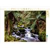 Calvendo St. Columba Falls in Tasmania 1000 pezzi puzzle paesaggio 640x480mm, Bergwitz Uwe; 7397511