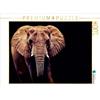 Calvendo Elefante africano 1000 pezzi puzzle paesaggio 640x480mm, Dölling Angela; 7340624