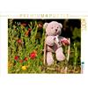 Calvendo Orso rampicante in giardino 1000 pezzi puzzle paesaggio 640x480mm, Bölts Meike; 7439485