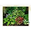 Calvendo Hosta 'June Fever', 'Twilight', 'Fire and Ice' con Heuchera, puzzle da 1000 pezzi, 640 x 480 mm, Heußlein Jutta; 7428001