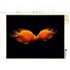 Calvendo Un bacio sott'acqua, puzzle da 1000 pezzi, formato orizzontale 640x480 mm, Hultsch Heike; 7300080