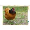 Calvendo Puzzle "Il pollaio" da 1000 pezzi, formato orizzontale 640x480 mm, CALVENDO; 7305523