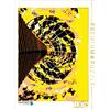 Calvendo Berlin Reichstag 1000 pezzi puzzle 480x640mm, Sock Reinhard; 7379512