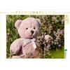 Calvendo Purple Lavender Bear 1000 pezzi puzzle paesaggio 640x480mm, Bölts Meike; 7439480