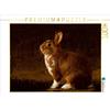 Calvendo Il coniglio, puzzle da 1000 pezzi, formato orizzontale 640x480 mm, Hultsch Heike; 7287961