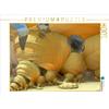 Calvendo Cocoon dwellings on Zeta Draconis 1000 pezzi puzzle paesaggio 640x480mm, Bujara André; 7408521