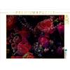 Calvendo Gothic Rose - Wedding Night 1000 pezzi puzzle paesaggio 640x480mm, Croce Martina; 7302303