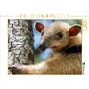 Calvendo Piccolo formichiere (Tamandua tetradactyla) Puzzle da 1000 pezzi, formato orizzontale 640x480 mm, Bergwitz Uwe; 7395805