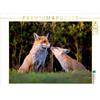 Calvendo Coccole con la mamma 1000 pezzi puzzle paesaggio 640x480mm, Zerletti Marcello; 7461795