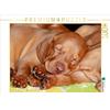 Calvendo Sono così stanco! 1000 pezzi puzzle paesaggio 640x480mm, Mielewczyk Barbara; 7440931