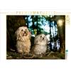 Calvendo Havanese girls 1000 pezzi puzzle paesaggio 640x480mm, Teßen Sonja; 7455166