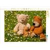 Calvendo Famiglia orso in margherite. 1000 pezzi puzzle paesaggio 640x480mm, Bölts Meike; 7439466
