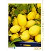 Calvendo Un motivo del calendario Lemons & Co 1000 pezzi puzzle alto 480x640mm, Schmitt Georg; 7435681