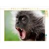Calvendo Monkey 1000 pezzi puzzle paesaggio 640x480mm, Gödecke Dieter; 7403886