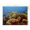 Calvendo Pesce bandiera nella barriera corallina 1000 pezzi puzzle paesaggio 640x480mm, Eberschulz Lars; 7434316