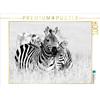 Calvendo Un motivo del calendario Momenti emotivi: Zebre - bianco e nero. puzzle da 1000 pezzi 640x480 mm, Gerlach GDT Ingo; 7299587