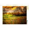 Calvendo: Papaveri in un campo di grano, puzzle da 2000 pezzi, formato orizzontale 900x670 mm, Roder Peter; 7413696