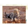 Calvendo Cucciolo di ghepardo, puzzle da 1000 pezzi, formato orizzontale 640x480 mm, Herzog Michael; 7456491