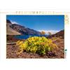 Calvendo Paesaggio di Tenerife 1000 pezzi puzzle paesaggio 640x480mm, Ködder Rico; 7295963