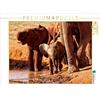 Calvendo Un'immagine tratta dal calendario "Cuccioli di elefante". Parco giochi nella savana. Puzzle da 1000 pezzi, formato orizzontale 640x480 mm, Michel Susan; 7289149