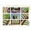 Calvendo asparagi 1000 pezzi puzzle paesaggio 640x480mm, cacciatore Thomas; 7284637