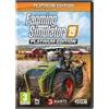 Focus Entertainment Farming Simulator 19 - Edizione Platinum, PC, Modalità multigiocatore, E (senza restrizioni), Supporto fisico