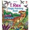 Usborne Publishing Ltd T. Rex Magic Painting Book (Magic Painting Books)