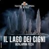 52733 IL LAGO DEI CIGNI