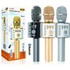 Microfono Portatile Wireless Bluetooth Karaoke Cassa Integrata Pulsanti