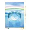 Calvendo Rainbow dolphins 1000 pezzi puzzle 480x640mm, Shayana Hoffmann Gaby; 7427641