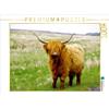 Calvendo Un vero Highlander 1000 pezzi puzzle paesaggio 640x480mm, N N; 7438015