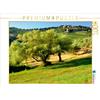 Calvendo Ulivo 1000 pezzi puzzle paesaggio 640x480mm, Thauwald Pia; 7416169