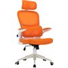 Trisens Sedia da ufficio flessibile in un moderno look a rete sedia da scrivania ergonomica con supporto cervicale e lombare sedia da gioco con schienale in rete traspirante e funzione dondolo ,Colore:Bianco/Arancione