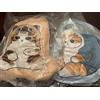 Mofusand × MONSTER HUNTER mofusand x Monster Hunter Shark Cat Cushion Set di 2 peluche design personaggio