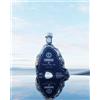C CAPRISIUS Premium Special Edition 50 cl dal mare di Capri - Made in Italy - Prodotto artigianale - Gin Tonic - 43% vol.