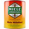 Ambrosoli Miele Millefiori 5 kg - Lattina Formato Scorta
