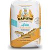 Caputo Aria Farina Tipo 0 con Pasta Madre 1 kg - Pizza in Teglia, Pala e Pinsa