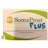 GISSOMA SRL SOMAPROST PLUS 20 STICK