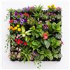 Giardino Verticale 9 Tasche Componibile all'Infinito - Parete Verde 50x50cm in F
