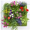 Giardino Verticale 9 Tasche Componibile all'Infinito - Parete Verde 50x50cm in F