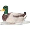 SCHLEICH Drago Schleich, nuoto