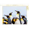 Calvendo King Penguins - Gathering 1000 pezzi puzzle paesaggio 640x480mm, Altmaier Michael; 7382165