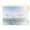 Calvendo - Un'immagine tratta dal calendario "Il sogno di volare - La poesia del mare" - Puzzle da 1000 pezzi, formato orizzontale 640x480 mm, Jana Mänz; 7309955