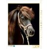 Calvendo Icelanders 1000 pezzi puzzle alto 480x640mm, Heüveldop Sabine; 7459079