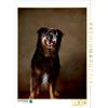 Calvendo Hobbit, 6 anni 1000 pezzi puzzle alto 480x640mm, Behr Jana; 7346742