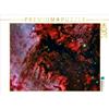 Calvendo Nebulosa nordamericana NGC 7000 Puzzle da 1000 pezzi, formato orizzontale 640x480 mm, Wittich Reinhold; 7457570